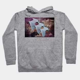 Great White Egrets Hoodie